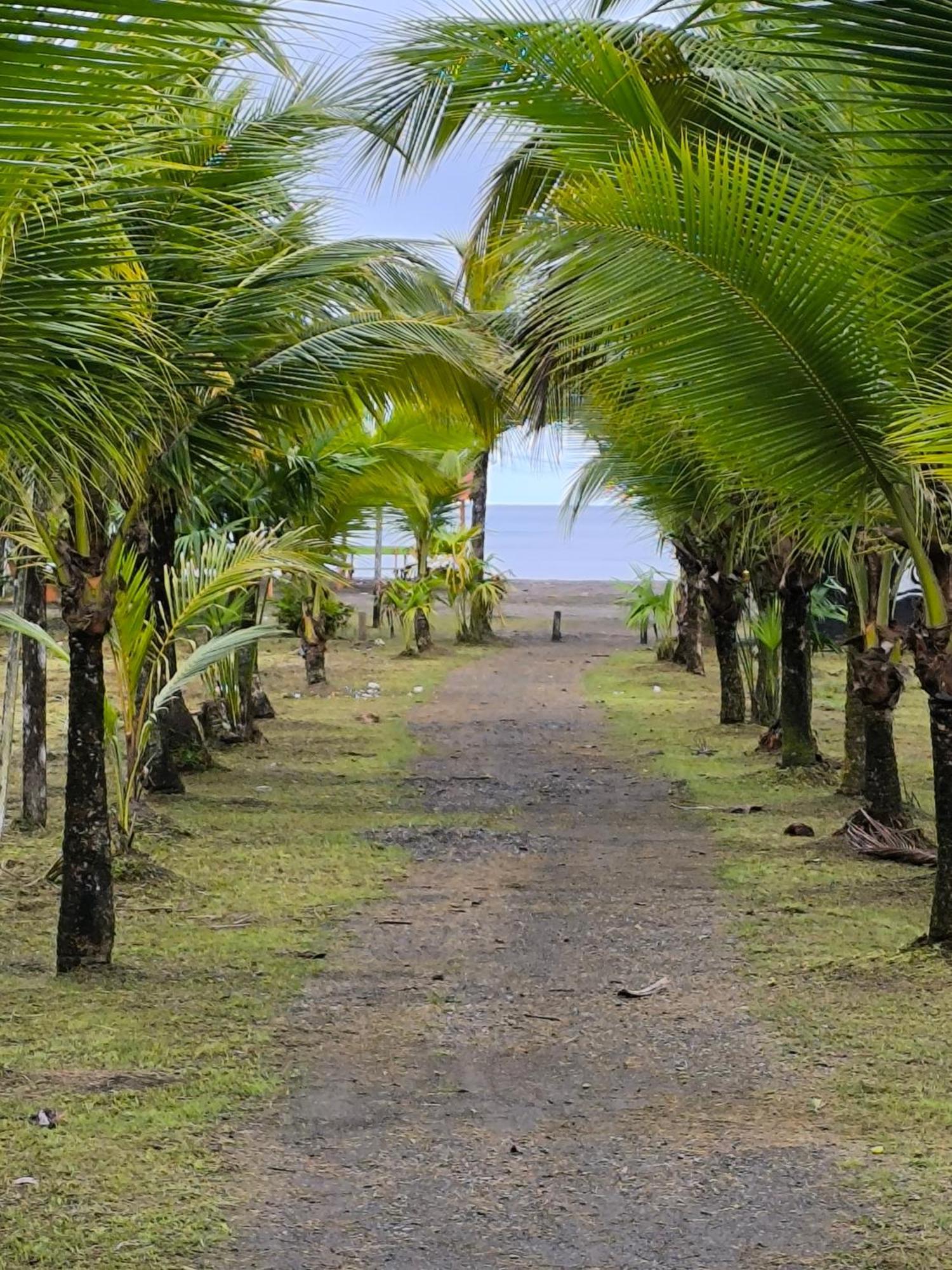 Cabanas Iracas Del Mar Nuquí Exteriör bild