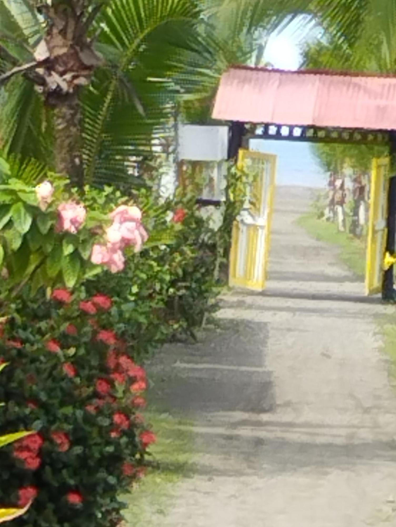 Cabanas Iracas Del Mar Nuquí Exteriör bild