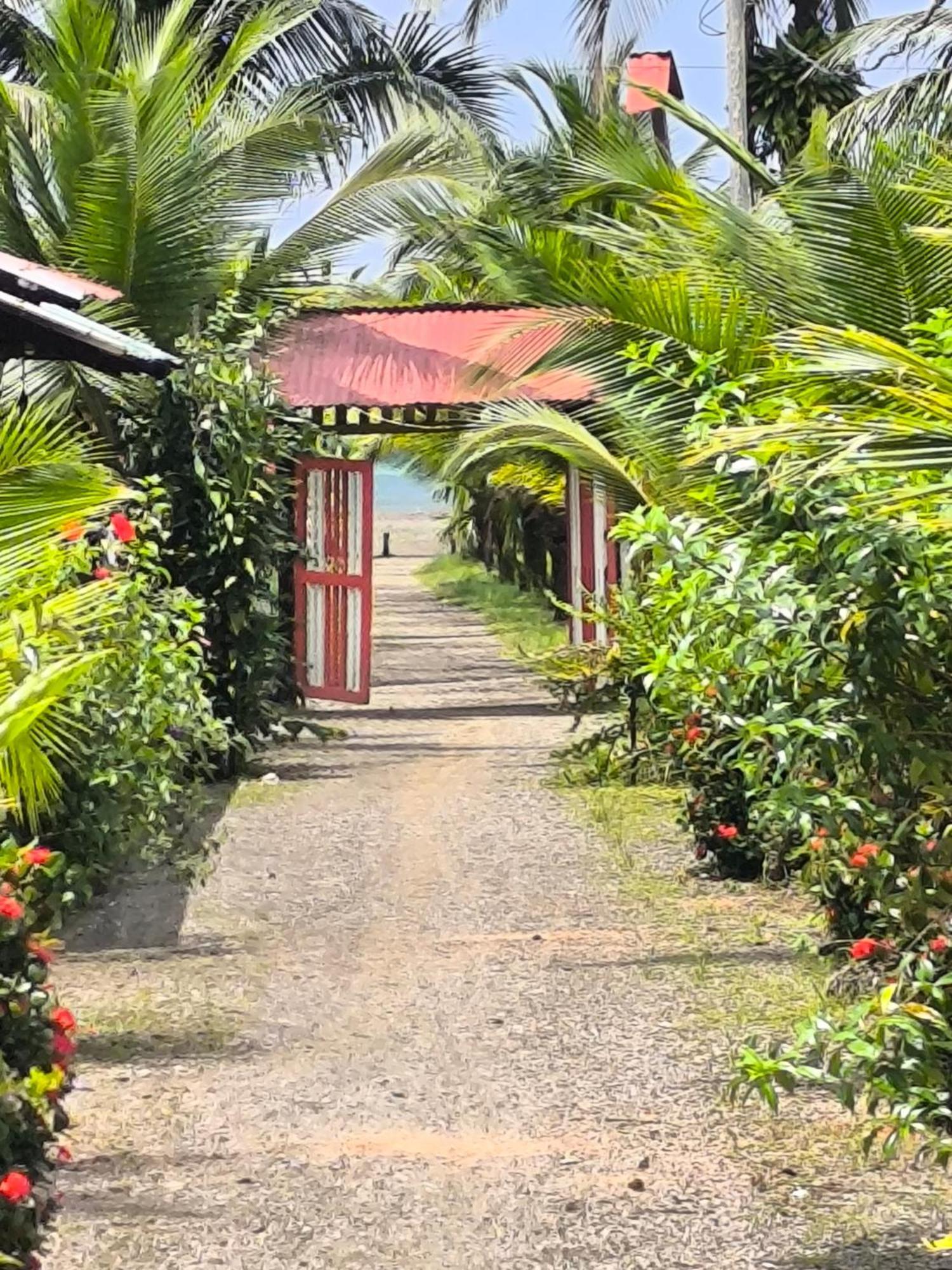 Cabanas Iracas Del Mar Nuquí Exteriör bild